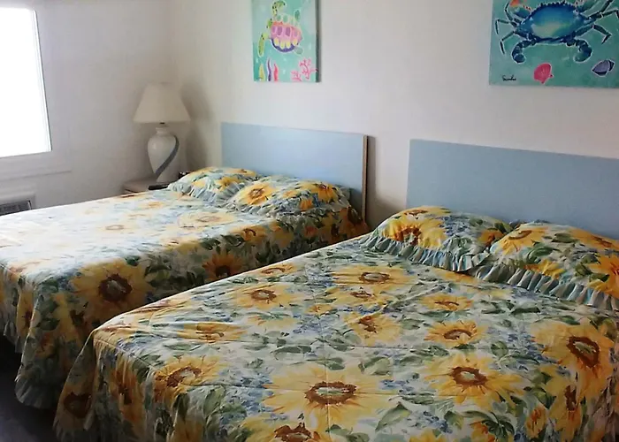 Assateague House Ii Apartment